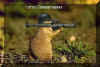 Gopher.jpg (25178 bytes)